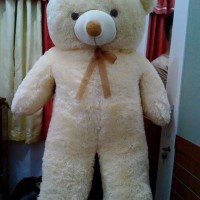 Jual boneka panda / teddy bear jumbo murah uk 1meter Murah