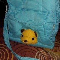 Tas Bayi Kuma - ex kado