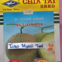 Benih Bibit Melon Hibrida F1 Action 434 # 550biji
