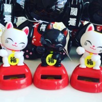 Jual SOLAR LUCKY CAT Murah