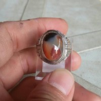 Jual PANCA WARNA GARUT Murah
