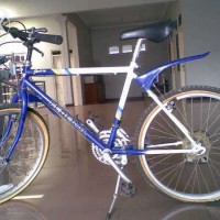 Sepeda Gunung/MTB 24 FEDERAL stallion Seri MB20