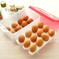 Jual egg master case box isi 24 telur kotak wadah tempat penyimpanan telor Murah