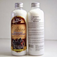 Caviar Shampoo (Shampo Kuda)