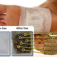 Jual KINOKI WHITE FOOT PATCH DETOX / KOYO KAKI DETOKSIFIKASI Murah