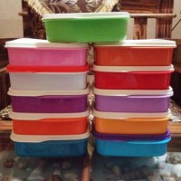 Jual Tupperware Lolly Tup Tempat Makan Bersekat DISKON Murah