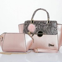Tas Wanita Dior 8325