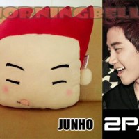 boneka bantal korea 2pm junho / kado unik