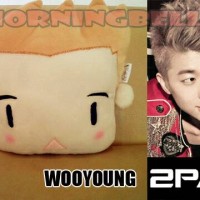 boneka bantal korea 2pm wooyoung / kado unik