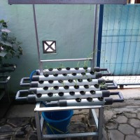 Jual Kebun Set Mini Garden Hidroponik/ Taman Mini Peralon Pot Hydroponic Murah