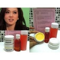 Paket Cream Syahrini Ampuh Pemutih Wajah Penghilang Jerawat Batu