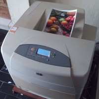 printer Hp Laserjet Colour 5550 dn A3 Jogja
