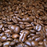 Jual Roasted Coffee Luwak Liar Gayo Murah