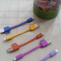 1TOPLES Kabel Data Hippo Caby Mini Iphone 5/5s/6/ipad mini (Lightning)