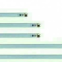 LAMPU TL PHILIPS 36 WATT/33
