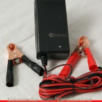Jual Cas Aki Otomatis / Charger Accu, Aki Kering, Basah, Mobil, Motor, dll Murah
