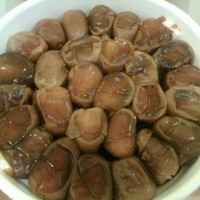 Jual Kurma Ruthab / Basah Impor dari Madinah Murah