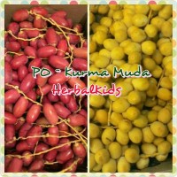 Jual Kurma Muda (Ruthob) Segar Murah