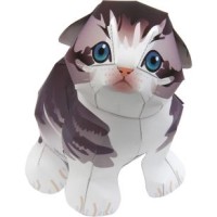 Katalog Kucing Scottish Fold Katalog.or.id Katalog Kucing Scottish Fold Katalog.or.id