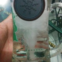 Kalung Quantum Pendant Energy Asli