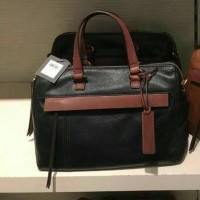 TAS FOSSIL ORI... SALE