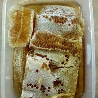 Jual Madu Sarang | Sarang Lebah | Sarang Madu Murah