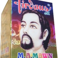 Jual Penumbuh Jambang Pemanjang Kumis Jenggot Firdaus Oil Obat Penyubur Murah