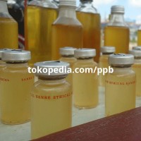 Jual Minyak Bulus Asli Kalimantan 15ml Menghaluskan Kulit Murah