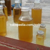 Jual Minyak Bulus Asli Kalimantan 25ml Mengencangkan Payudara Murah
