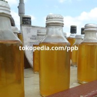 Jual Minyak Bulus Asli Kalimantan 50ml Mengencangkan Payudara dan Membesarkan Kelamin Pria Murah