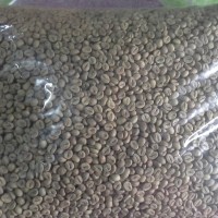 Jual Kopi Robusta Temanggung Green Bean Murah