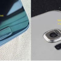 Jual PAKET Home button protector + Tempered glass camera Galaxy S7 Note 7 Murah