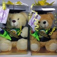 Jual Boneka Wisuda 25cm Nama Selempang+Bunga Murah