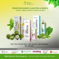 Penghitam Rambut Uban Alami ( Shampo + Serum + Tonic Variant Grey)