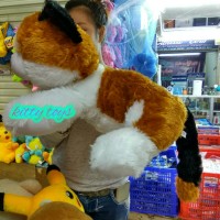 Jual mainan anak boneka kucing cat Murah