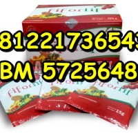 Agen Fiforlif Cirebon