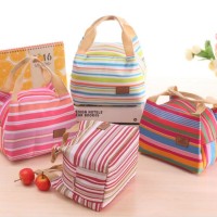 Jual Iconic Insulated Lunch Bag Frozen | Coolerbag | Cooler Bag Asi Murah