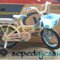 Sepeda Anak Mini 16