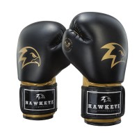 Jual Gloves sarung tinju muaythai Hawkeye Murah