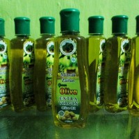 Jual Mengatasi Kulit Kasar Penghilang Komedo Minyak Zaitun Green Oliva Murah