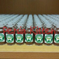 Jual Carpet Seed Aquascape Mini Dwarf Murah