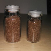 Jual carpet seed mini dwarf small Murah