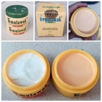 Jual Cream Temulawak Day and Night Holo Besar Embos Original Murah