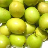 1 BIJI BENIH BUAH BIDARA ARAB OVAL