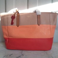 Tas Fossil Sidney Shopper Multi