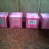 Jual Distributor Original Nenhong Korea Nenghong Pemerah Bibir Alami Murah