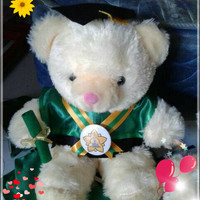 Jual Boneka Wisuda / Boneka Teddy Bear / Kado Ulang Tahun Murah
