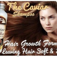 Jual Laris Penumbuh Rambut Caviar Shampoo Kuda Obat Botak Penyubur Murah