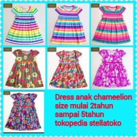Dress anak chameleon