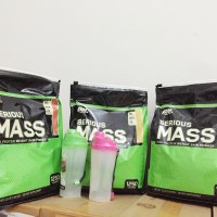 Jual Serious mass optimum nutrition Murah